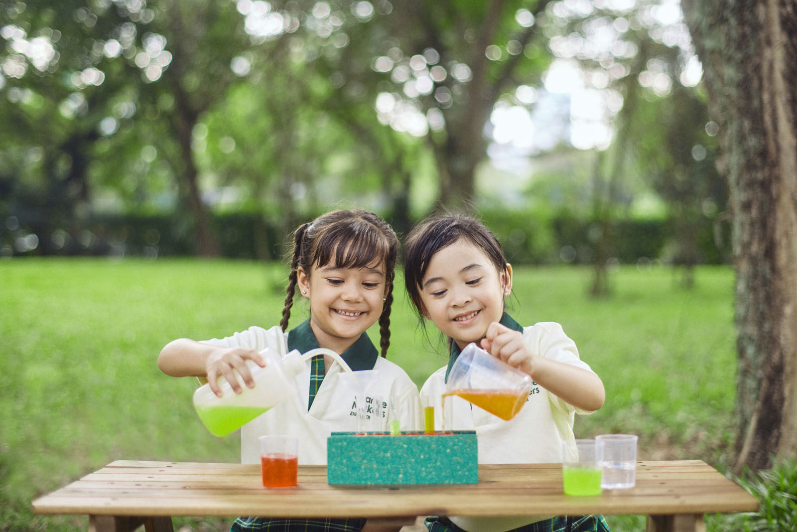 Interdisciplinary Learning